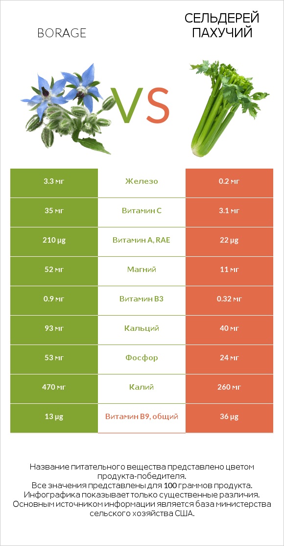 Бурачник лекарственный vs Сельдерей пахучий infographic