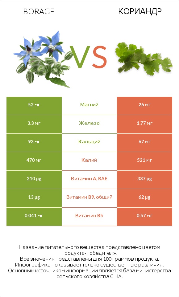 Бурачник лекарственный vs Кориандр infographic