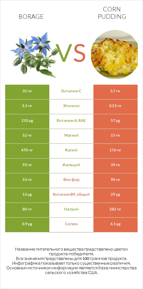 Borage vs Corn pudding infographic