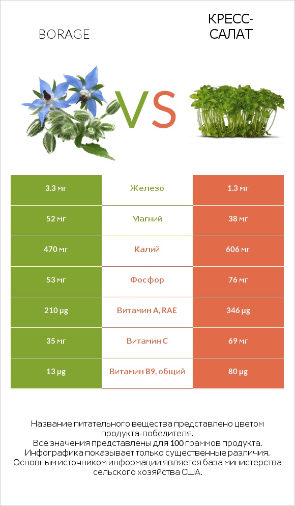 Бурачник лекарственный vs Кресс-салат infographic