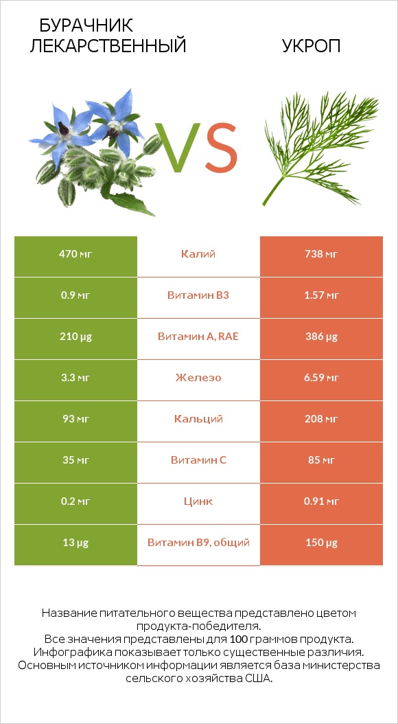 Бурачник лекарственный vs Укроп infographic