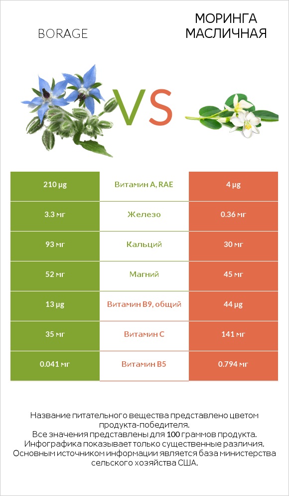 Borage vs Моринга масличная infographic