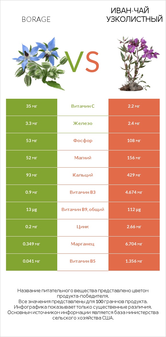 Бурачник лекарственный vs Иван-чай узколистный infographic