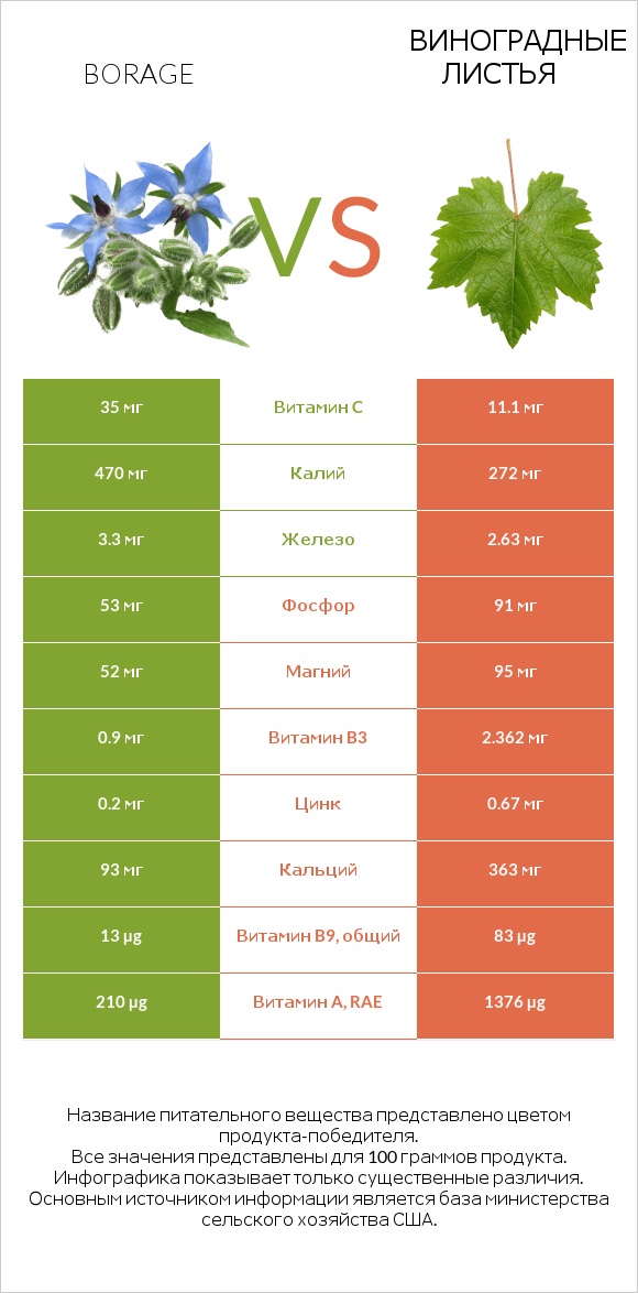 Borage vs Виноградные листья infographic