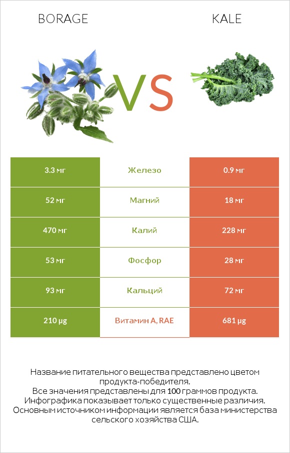 Borage vs Kale infographic