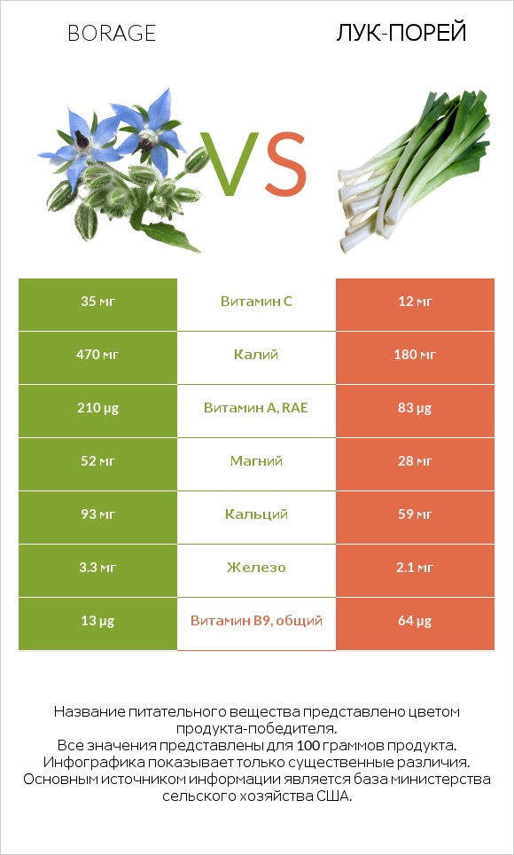 Бурачник лекарственный vs Лук-порей infographic