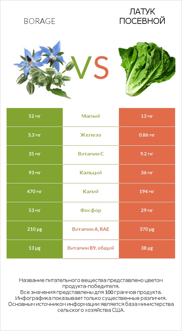 Бурачник лекарственный vs Латук посевной infographic