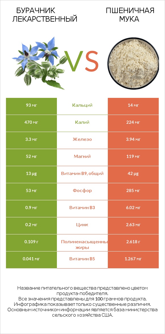 Бурачник лекарственный vs Пшеничная мука infographic