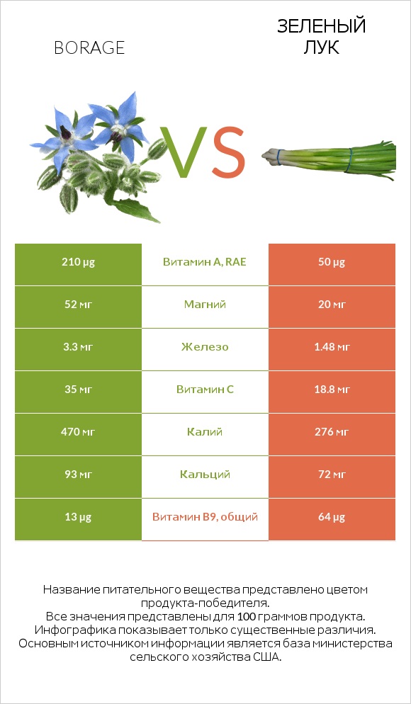 Бурачник лекарственный vs Зеленый лук infographic