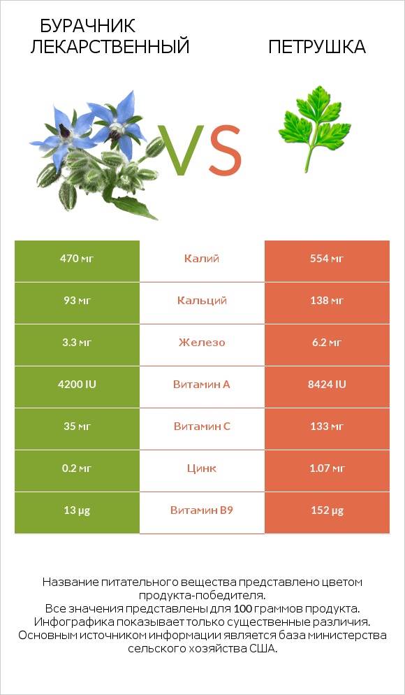 Бурачник лекарственный vs Петрушка infographic