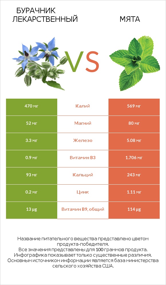 Бурачник лекарственный vs Мята infographic