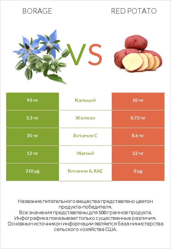 Borage vs Red potato infographic
