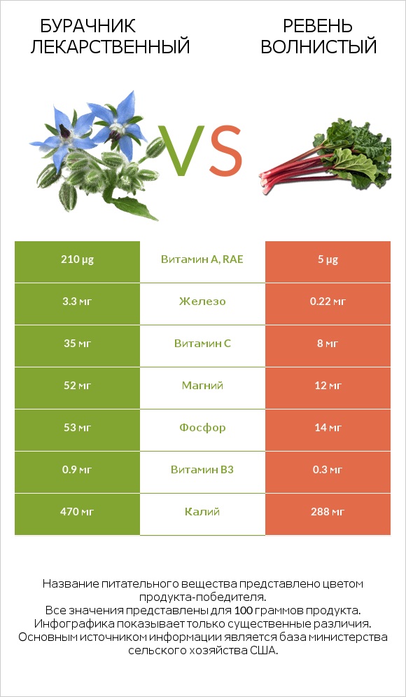 Бурачник лекарственный vs Ревень волнистый infographic