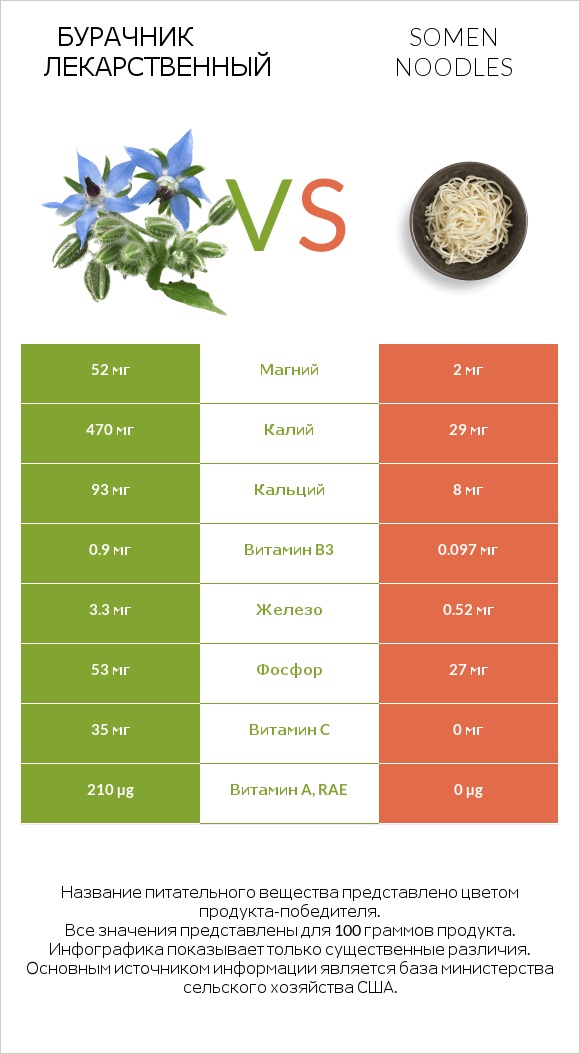 Бурачник лекарственный vs Somen noodles infographic