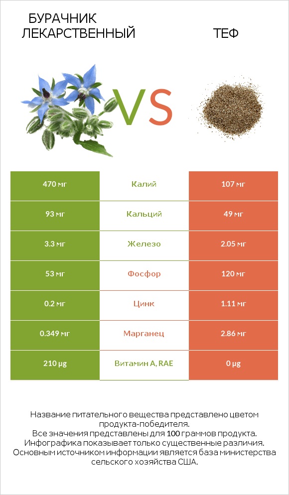 Бурачник лекарственный vs Теф infographic