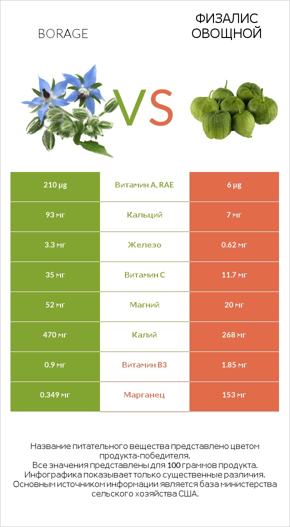 Borage vs Физалис овощной infographic