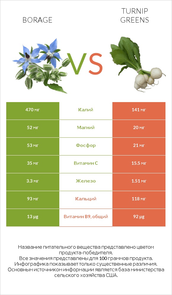 Borage vs Turnip greens infographic