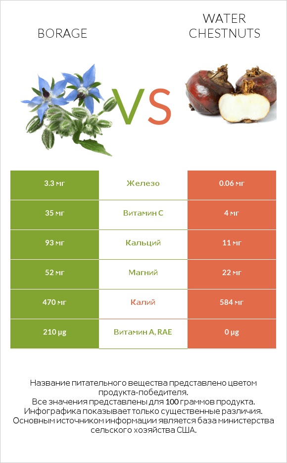 Borage vs Water chestnuts infographic