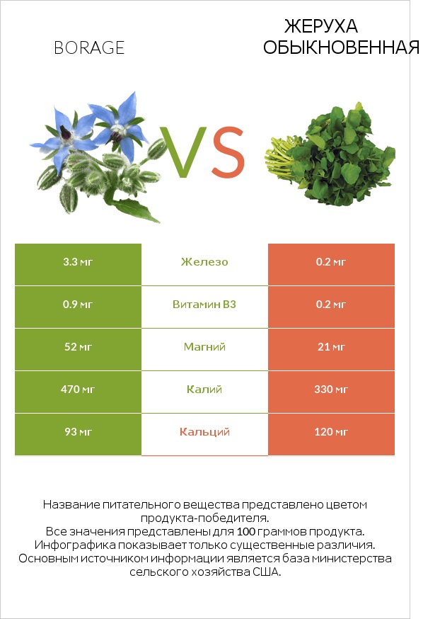 Бурачник лекарственный vs Жеруха обыкновенная infographic