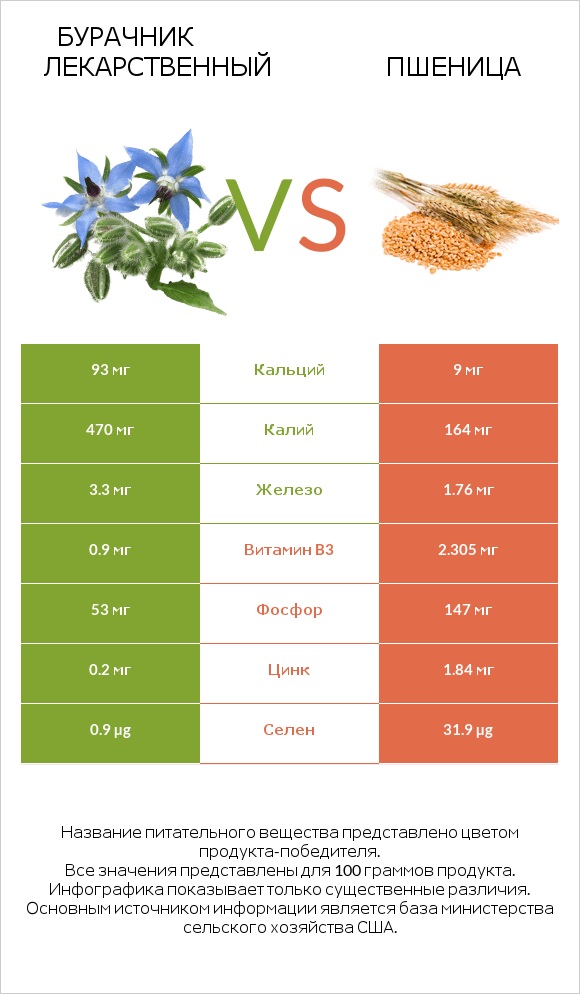 Бурачник лекарственный vs Пшеница infographic