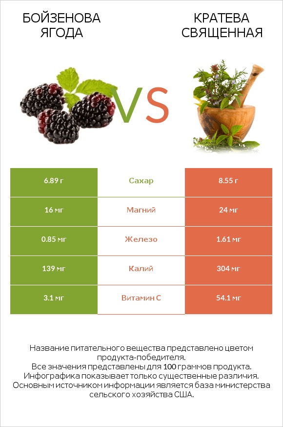 Бойзенова ягода vs Кратева священная infographic