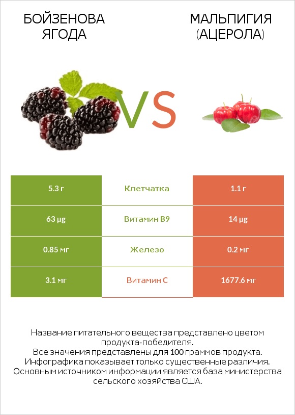 Бойзенова ягода vs Мальпигия (ацерола) infographic