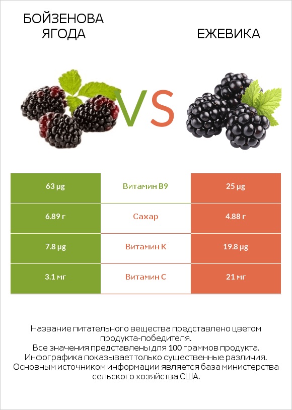 Бойзенова ягода vs Ежевика infographic