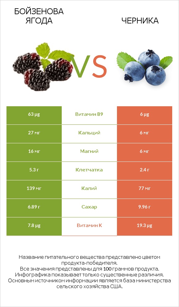 Бойзенова ягода vs Черника infographic