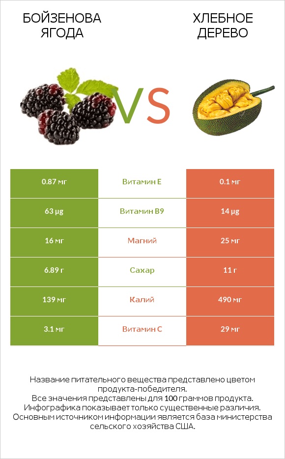 Бойзенова ягода vs Хлебное дерево infographic