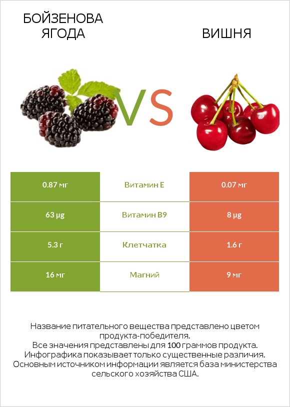 Бойзенова ягода vs Вишня infographic