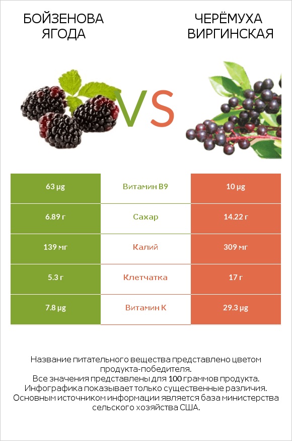 Бойзенова ягода vs Черёмуха виргинская infographic