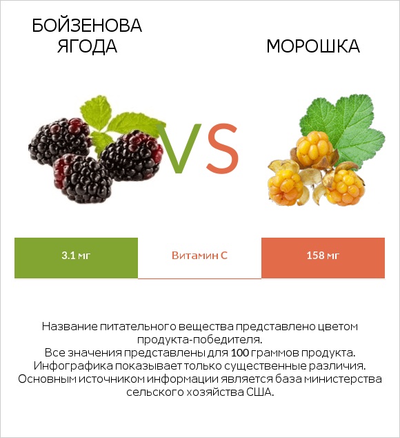 Бойзенова ягода vs Морошка infographic