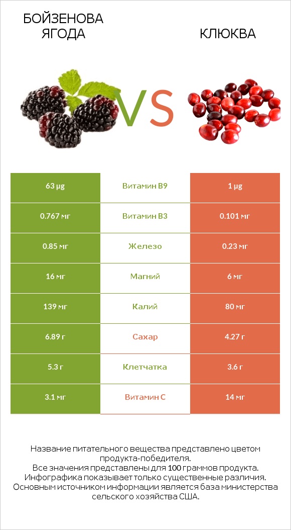 Бойзенова ягода vs Клюква infographic