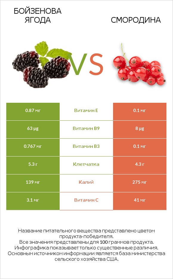 Бойзенова ягода vs Смородина infographic