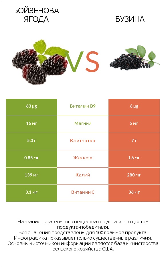 Бойзенова ягода vs Бузина infographic