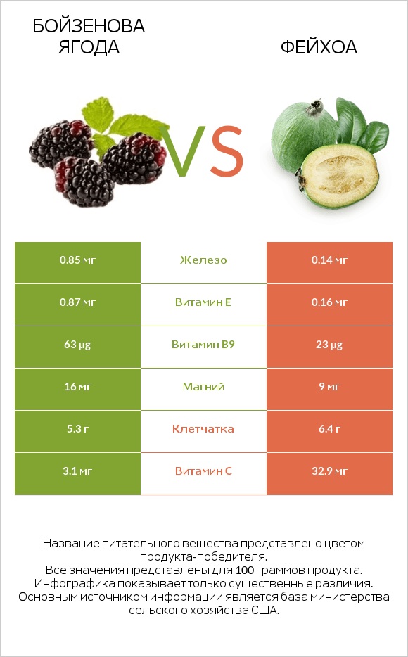 Бойзенова ягода vs Фейхоа infographic