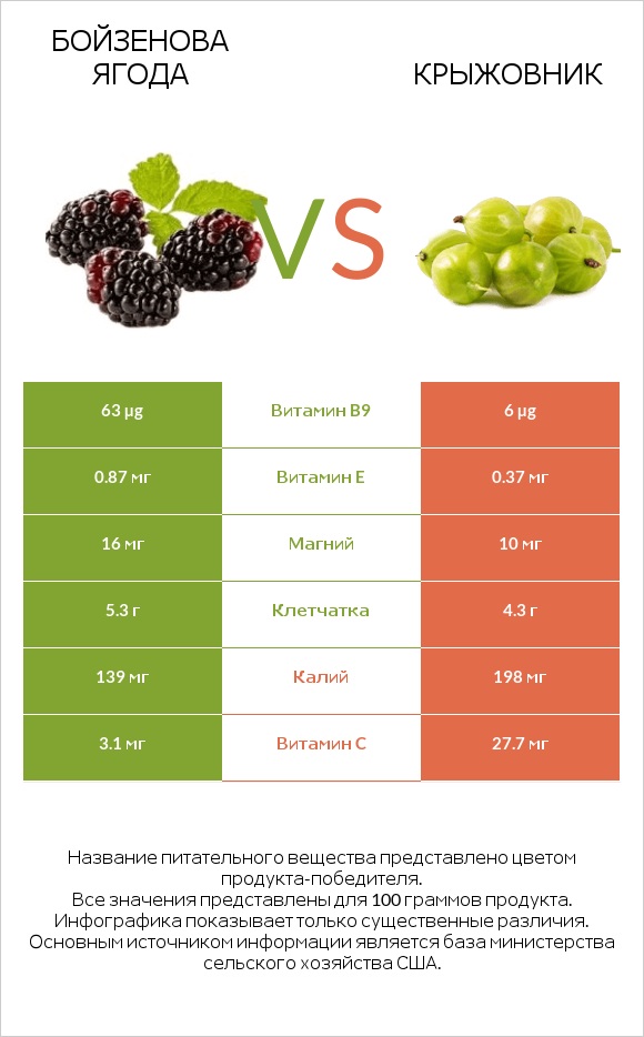 Бойзенова ягода vs Крыжовник infographic