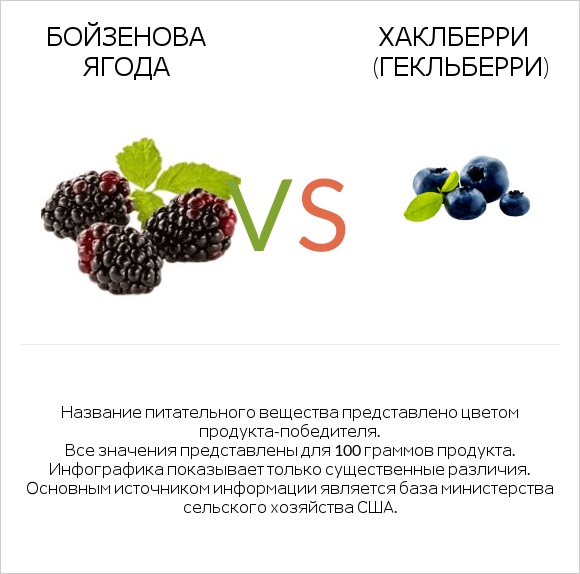 Бойзенова ягода vs Хаклберри (Гекльберри) infographic