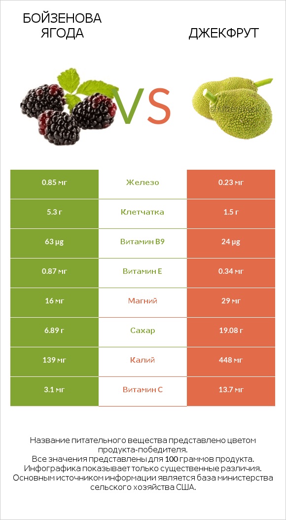 Бойзенова ягода vs Джекфрут infographic