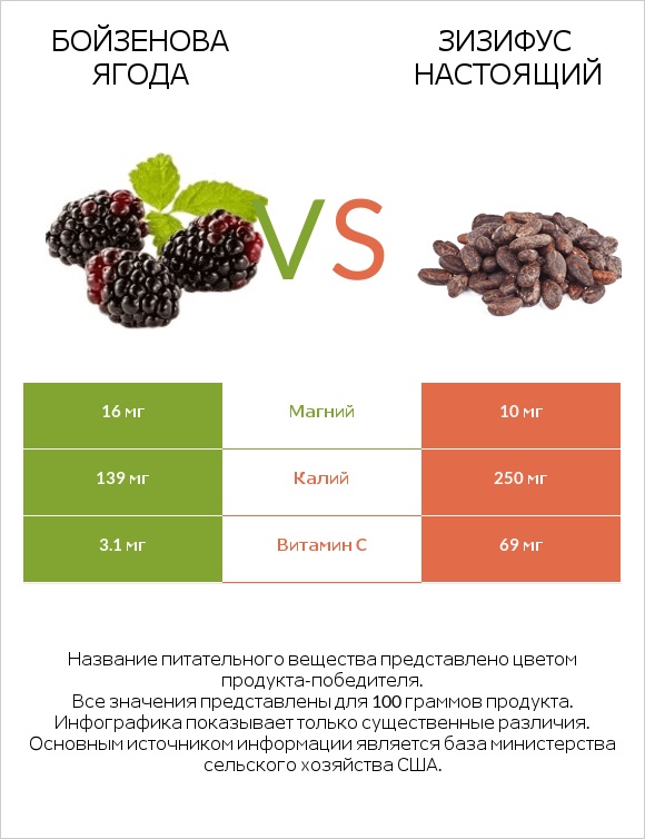 Бойзенова ягода vs Зизифус настоящий infographic