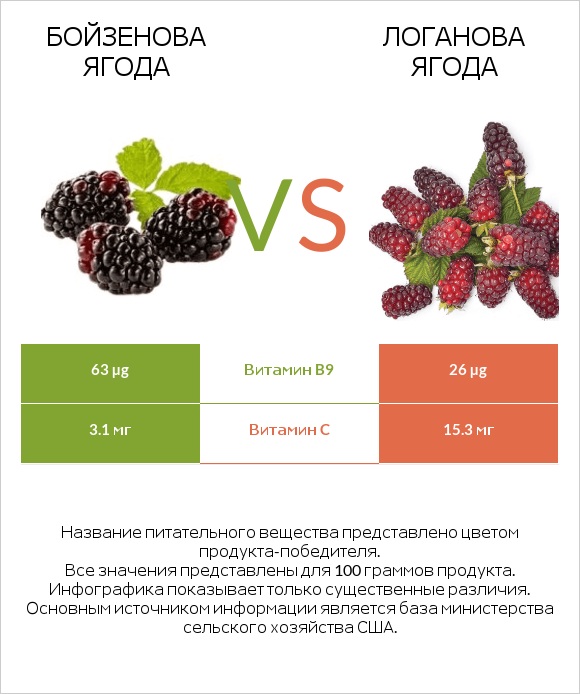 Бойзенова ягода vs Логанова ягода infographic