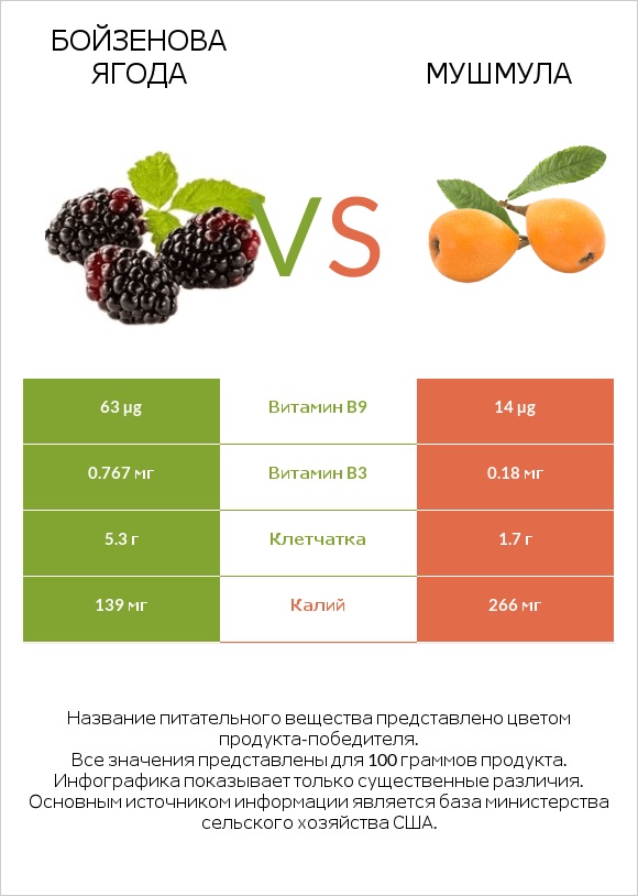 Бойзенова ягода vs Мушмула infographic