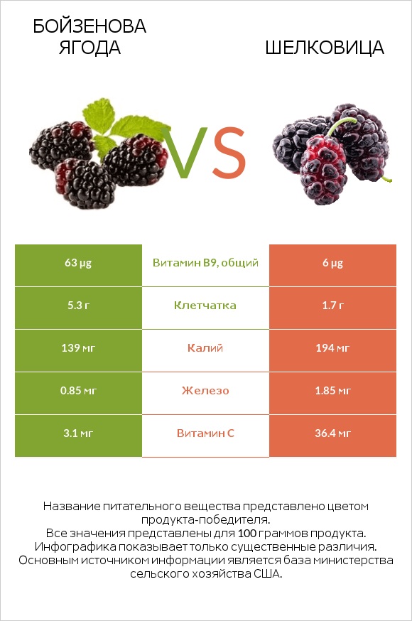 Бойзенова ягода vs Шелковица infographic