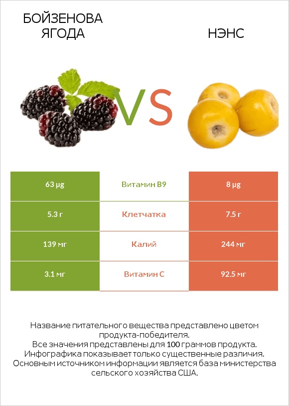 Бойзенова ягода vs Нэнс infographic