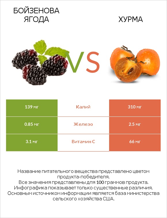 Бойзенова ягода vs Хурма infographic