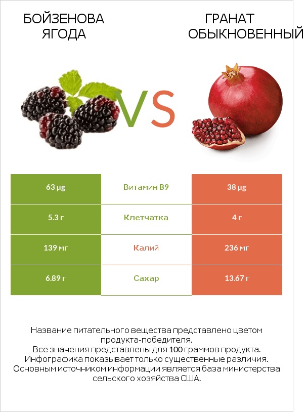 Бойзенова ягода vs Гранат обыкновенный infographic