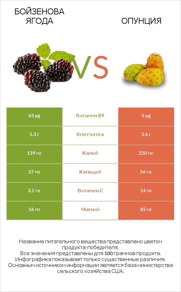 Бойзенова ягода vs Опунция infographic