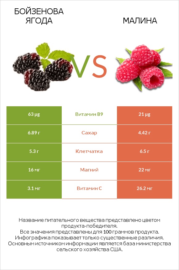 Бойзенова ягода vs Малина infographic