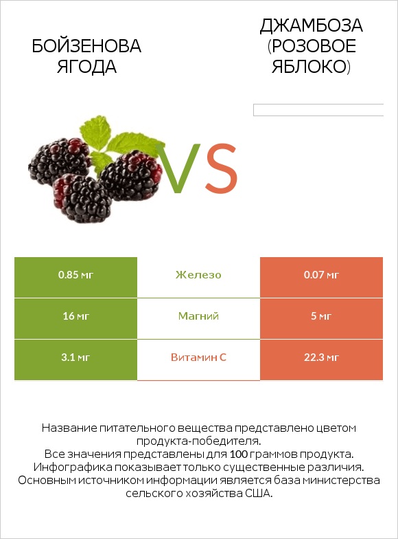 Бойзенова ягода vs Джамбоза (розовое яблоко) infographic