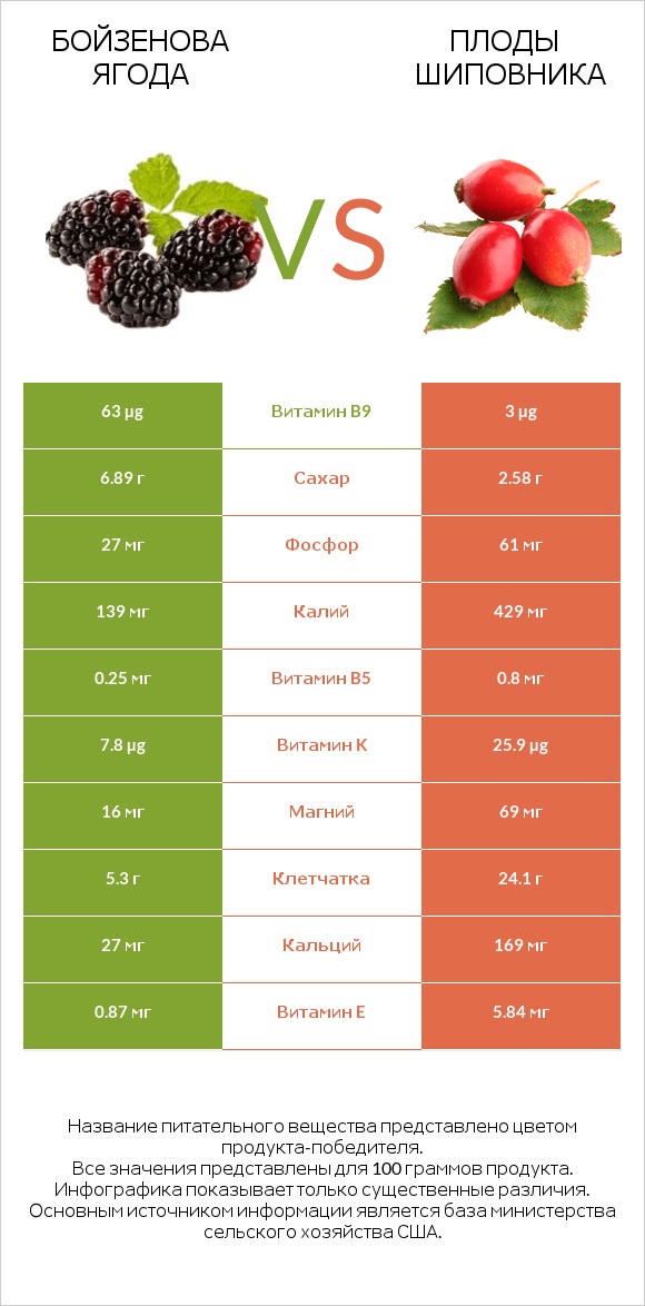 Бойзенова ягода vs Плоды шиповника infographic